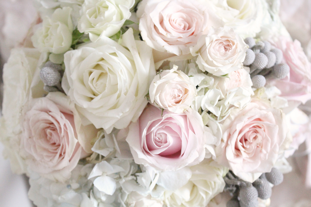 blush white rose hydrangea centerpiece