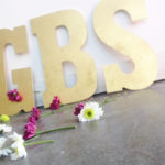 Speakers, Styling, and Socialization: A GBS Recap