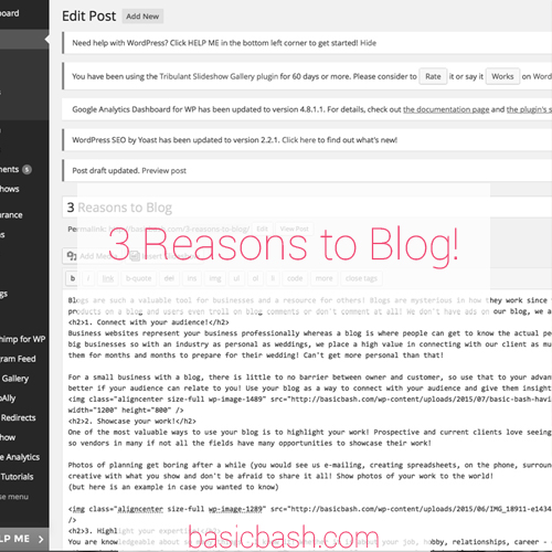 3 Reasons to Blog | Basic Bash Events