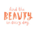 Find the Beauty In Every Day
